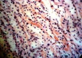 Описание: DSC05758