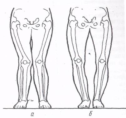 Балық туралы видео
