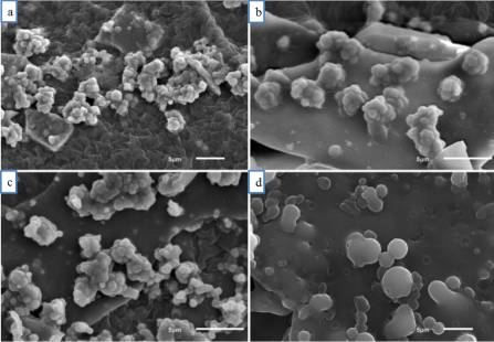 ��� ������