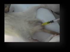 C:\Documents and Settings\User\������� ����\�����\����\�����\�����\�����������  ����\SAM_0225.JPG