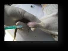 C:\Documents and Settings\User\������� ����\�����\����\�����\�����\�����������  ����\SAM_0226.JPG