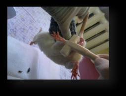 C:\Documents and Settings\User\������� ����\�����\����\�����\����� ����\050120121131.jpg