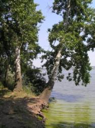 C:\Documents and Settings\user\������� ����\���� ���� 3jpg.jpg