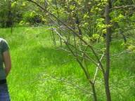 H:\�������� �.�\Pohod030510\IMGA0210.JPG