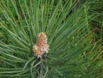 H:\�������� �.�\Pohod030510\IMGA0288.JPG