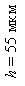 : h = 55 