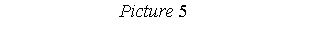 : Picture 5