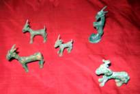 ��������: IMG_0006