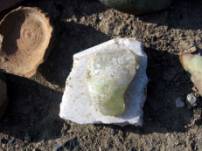 ��������: IMG_0016