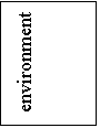 �������: environment