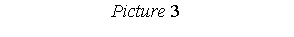 : Picture 3