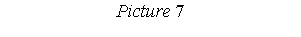 : Picture 7