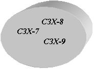 Овал: СЗХ-8
СЗХ-7
 СЗХ-9
