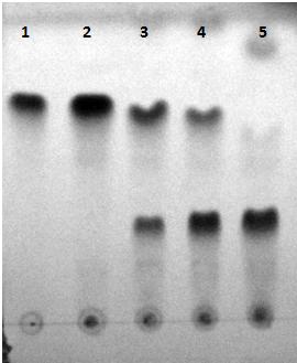 D:\��������\���. ��� ���.png