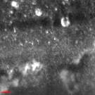 C:\Users\vladimir\Desktop\Father1\���������� ����� - �����\����������� ����� ����\�����������_30.04.13\MGIU\K.tif