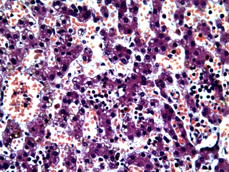 ��������: image7