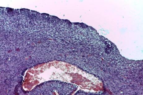 ��������: image007