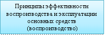 Подпись: Принципы эффективности вос-производства и эксплуатации основных средств (воспроизводство) 