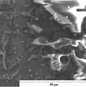 1-4 ����� �