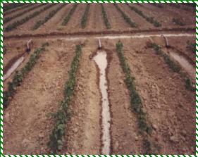 Описание: prezent9