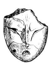 C:\Documents and Settings\User\������� ����\�������\������ �� �����������\���������\����������� ������\��� �������\0001.tif