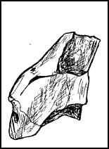 C:\Documents and Settings\User\Рабочий стол\текущая\статьи по диссертации\черновики\скульптурки личины\для таблицы\0001.tif