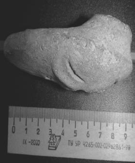 C:\Documents and Settings\User\Рабочий стол\текущая\статьи по диссертации\скульпт Хумми\в профиль.jpg