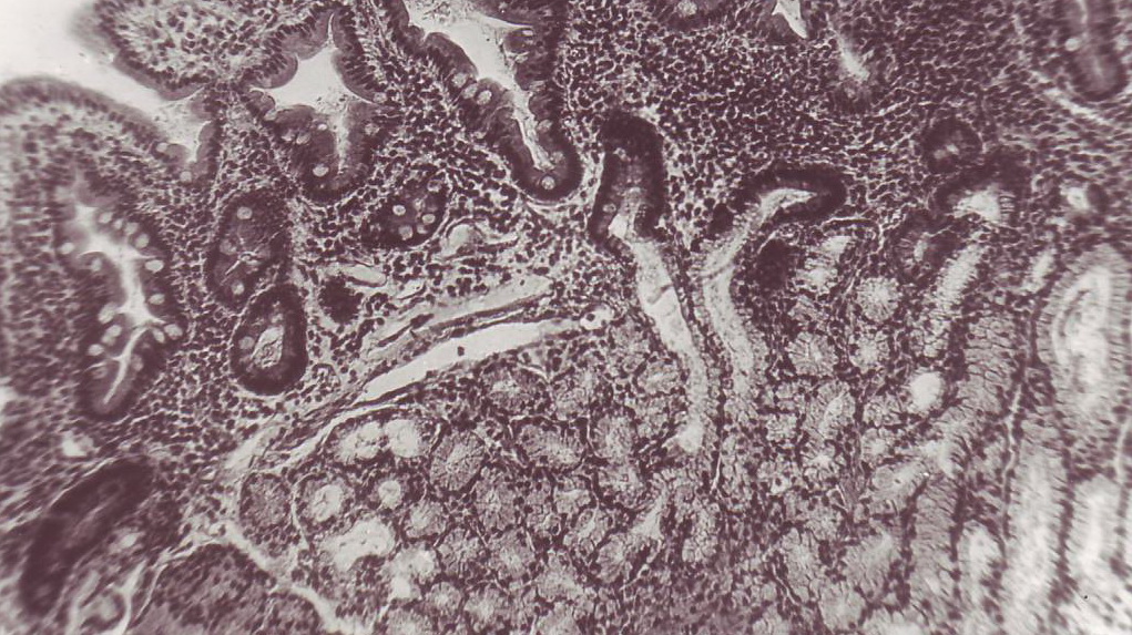 C:\Documents and Settings\����\������� ����\2014-08-01\130002.JPG