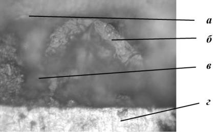 D:\�����������\������ ������\����������� ����� 2013\��� � ������ 2.jpg