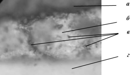 D:\�����������\������ ������\����������� ����� 2013\��+���.jpg