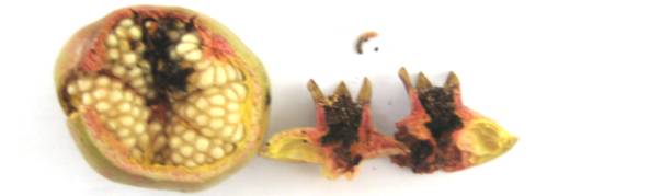 D:\����\����� ����� (3)\IMG_0330.JPG