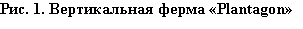 �������: ���. 2. ������������ ����� �Plantagon�