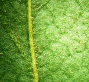 ��������: ����� �