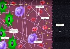 ���.1. ������ �������� ��������������.