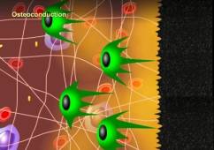 ���.2. �������� ����������� ������ � ����������.