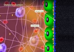 ���.3. ��������� �������� ��������������.