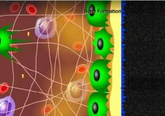 ���.4. ���������������� ������� ����������� � ������ ��������.