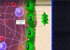 ���.5. ��������� ����������������� �������� �����������.