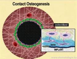 ���.6. ���������� ���������� (���������������).