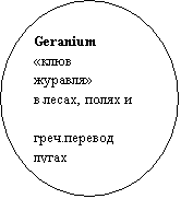 ����: Geranium
����� 
��������
� �����, ����� �             	 ����.�������
�����                             ������ �������
������ � ����           ����� �����,
�� ������ � ���              �������
������ ��                       ����� ������
����������
������ �� ������
400 �����
