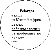 ����: Pelargos
�����
�� ����� ������
������
������� � ������
������������ �� �������
280 �����

