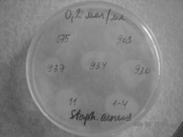 C:\Documents and Settings\Admin\��� ���������\����������� ������\��� ���������� ��� ���� 2009\DSC04324.JPG