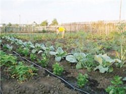 ���������� ����� ������������� ���������