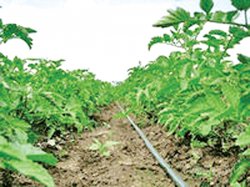 ���������� ����� ������������� ���������