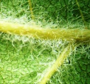 ��������: ����� �