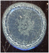 C:\Users\EVGENIY\Desktop\����� �����\3.jpg