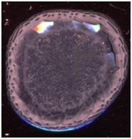 C:\Users\EVGENIY\Desktop\����� �����\4.jpg