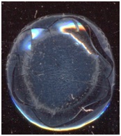 C:\Users\EVGENIY\Desktop\����� �����\6.jpg