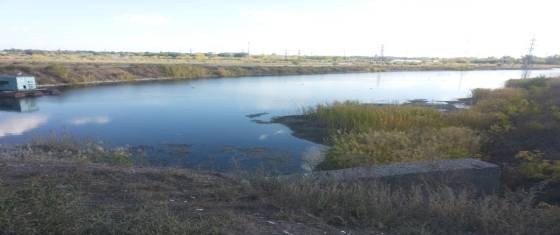 C:\Users\����\Desktop\����� �����\20140916_154317.jpg