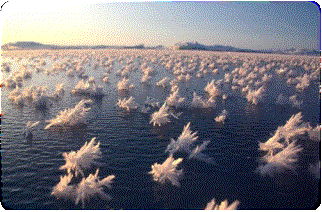 ������� ����� ���� ������� ��������� ��� ������������� ������������